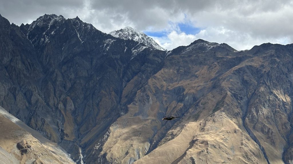 Escape to the Mountains of Stepantsminda, Georgia